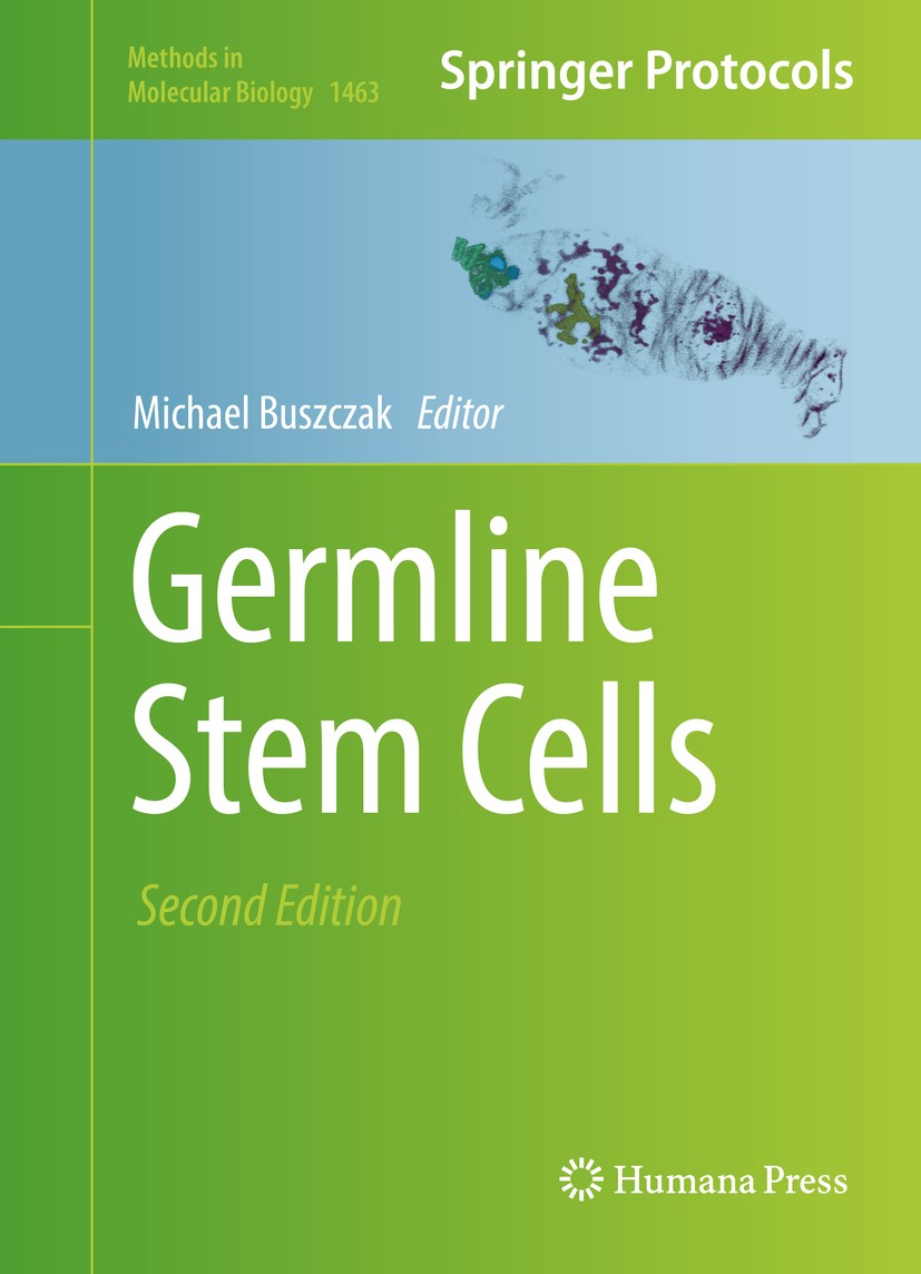 Germline Stem Cells | Springerlink