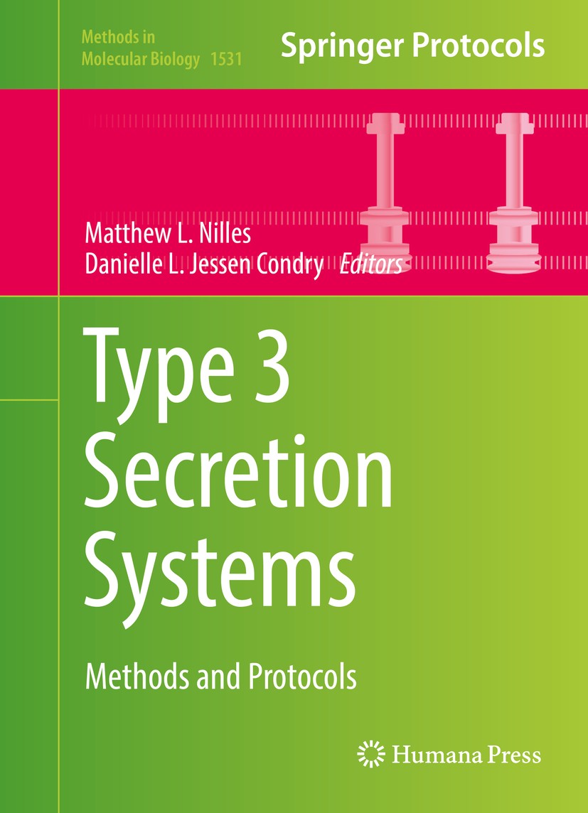 System springer