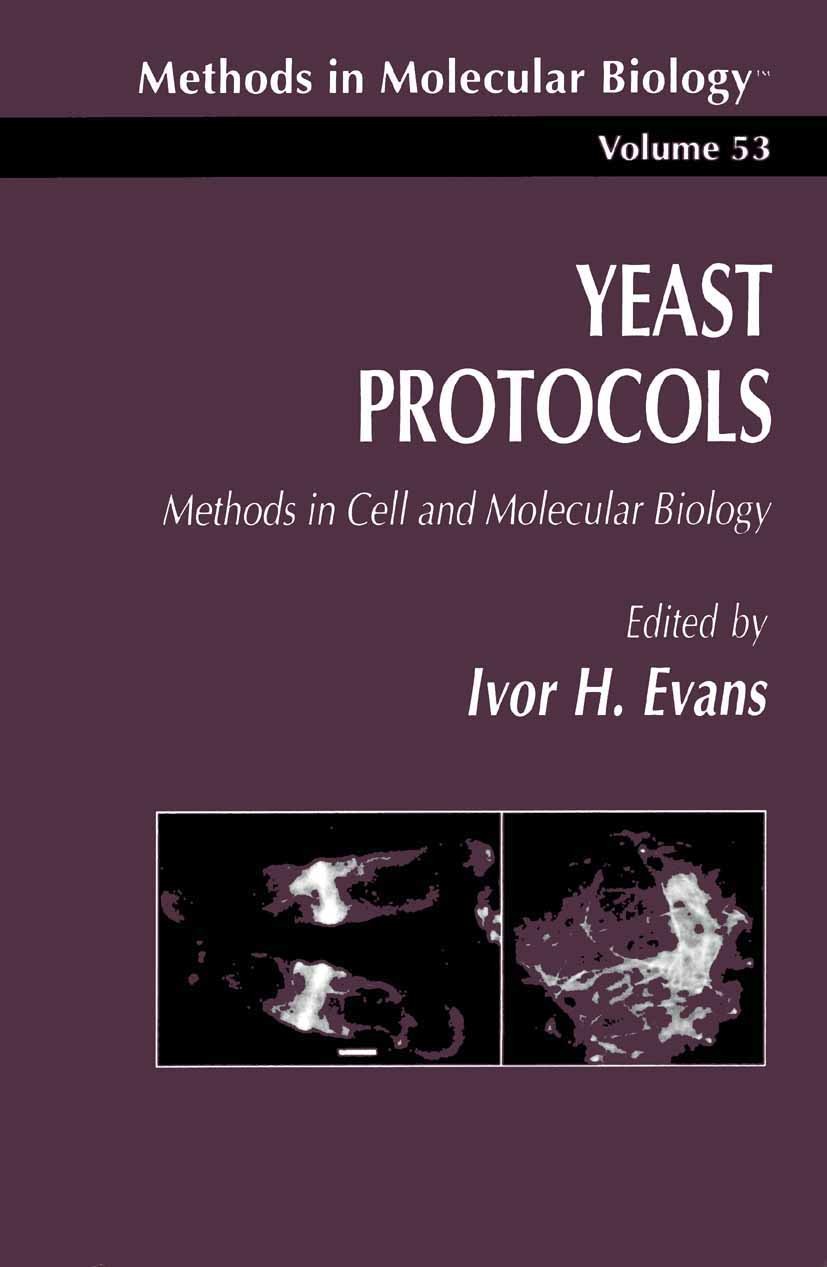 語学+参考書 Recombinant Protein Production in Yeast: Methods and Protocols (Methods in Molecular Biology 866) Yeast Protocols: Methods in Cell and Molecular Biology
