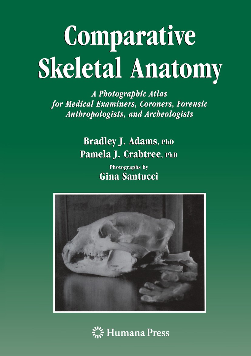 Amazon.com: Functional Morphology and Diversity (The Natural