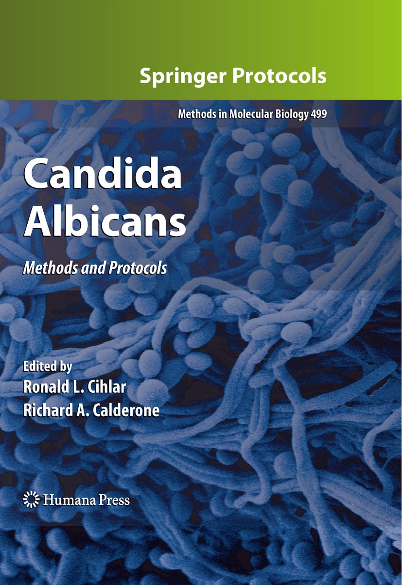 Candida albicans лечение