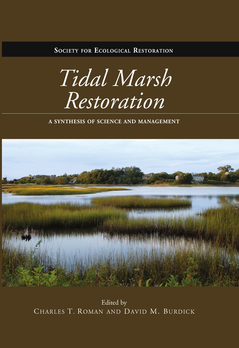 Salt Marsh Tidal Restoration in Canada's Maritime Provinces | SpringerLink