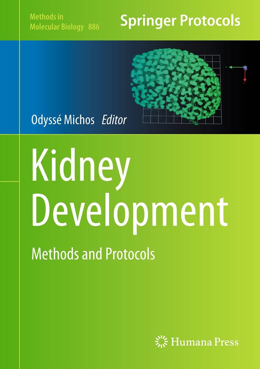 Developed methods. Michos "Kidney Development". Four methods of paragraph Development.