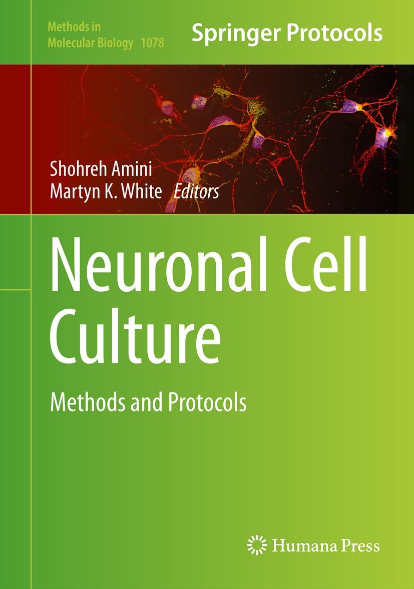 Neuronal Cell Culture: Methods and Protocols | SpringerLink