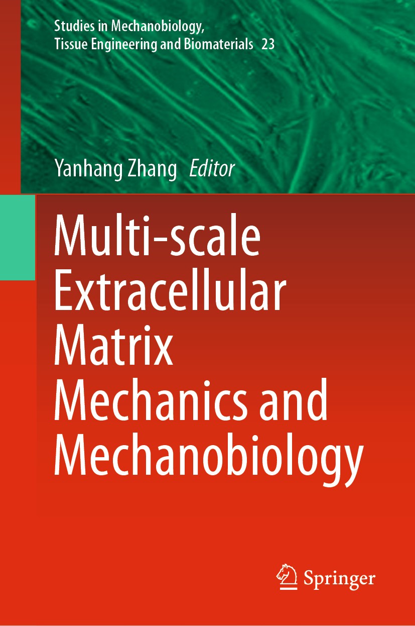 Multi-scale Extracellular Matrix Mechanics and Mechanobiology | SpringerLink