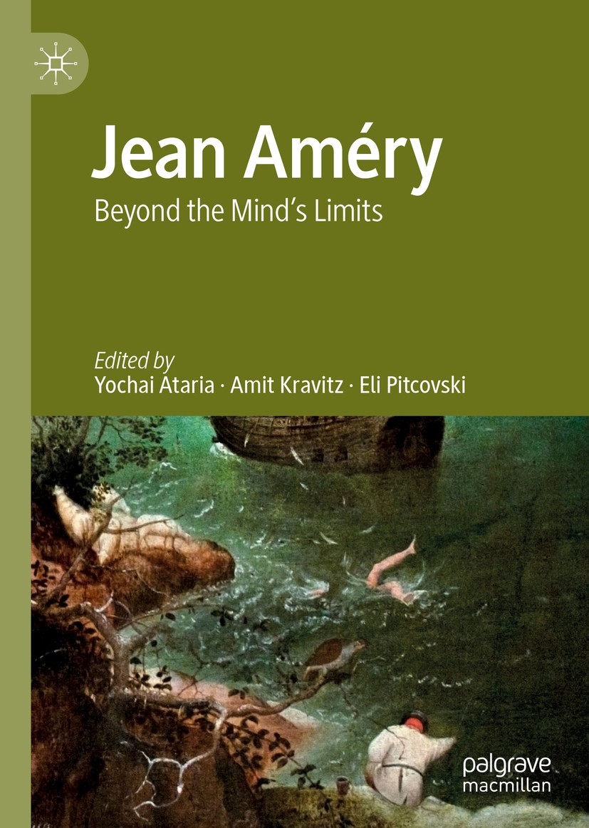 Realism Contested Jean Amery S Charles Bovary Country Doctor Springerlink
