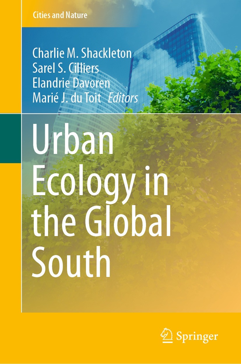 Urbanisation in the Global South | SpringerLink
