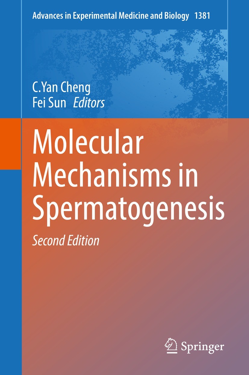 Molecular Mechanisms in Spermatogenesis | SpringerLink