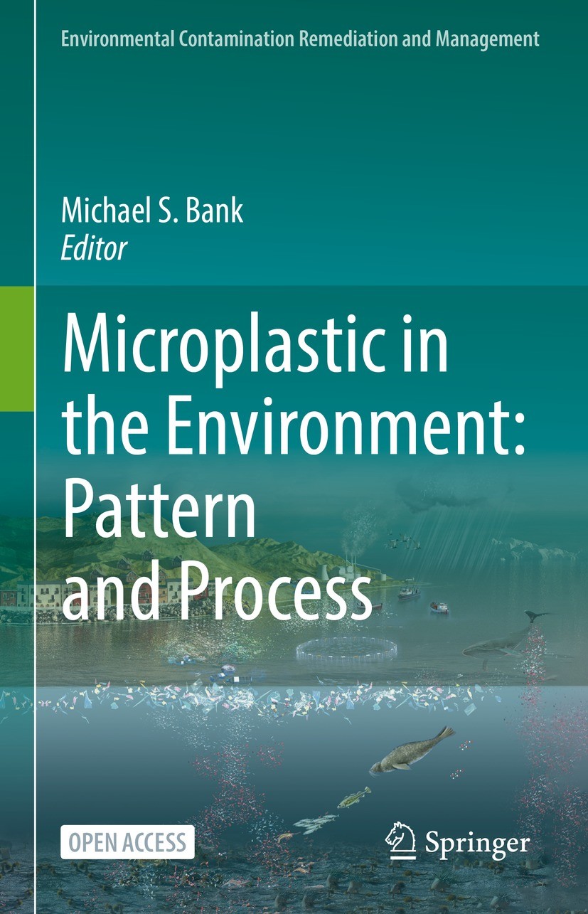 Solutions To Plastic Pollution A Conceptual Framework To Tackle A Wicked Problem Springerlink