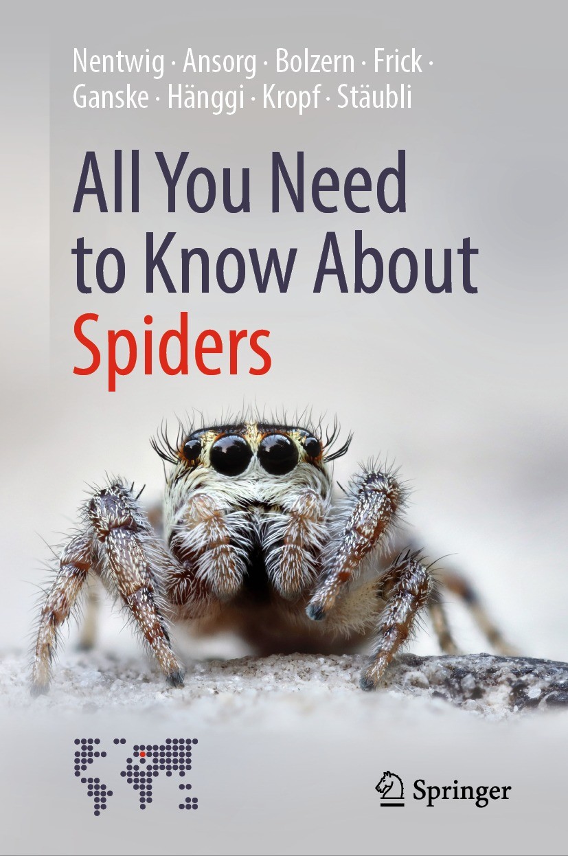 Summer spider season has begun, according to experts_'Encounters likely by  Kangaroo Blog - Issuu