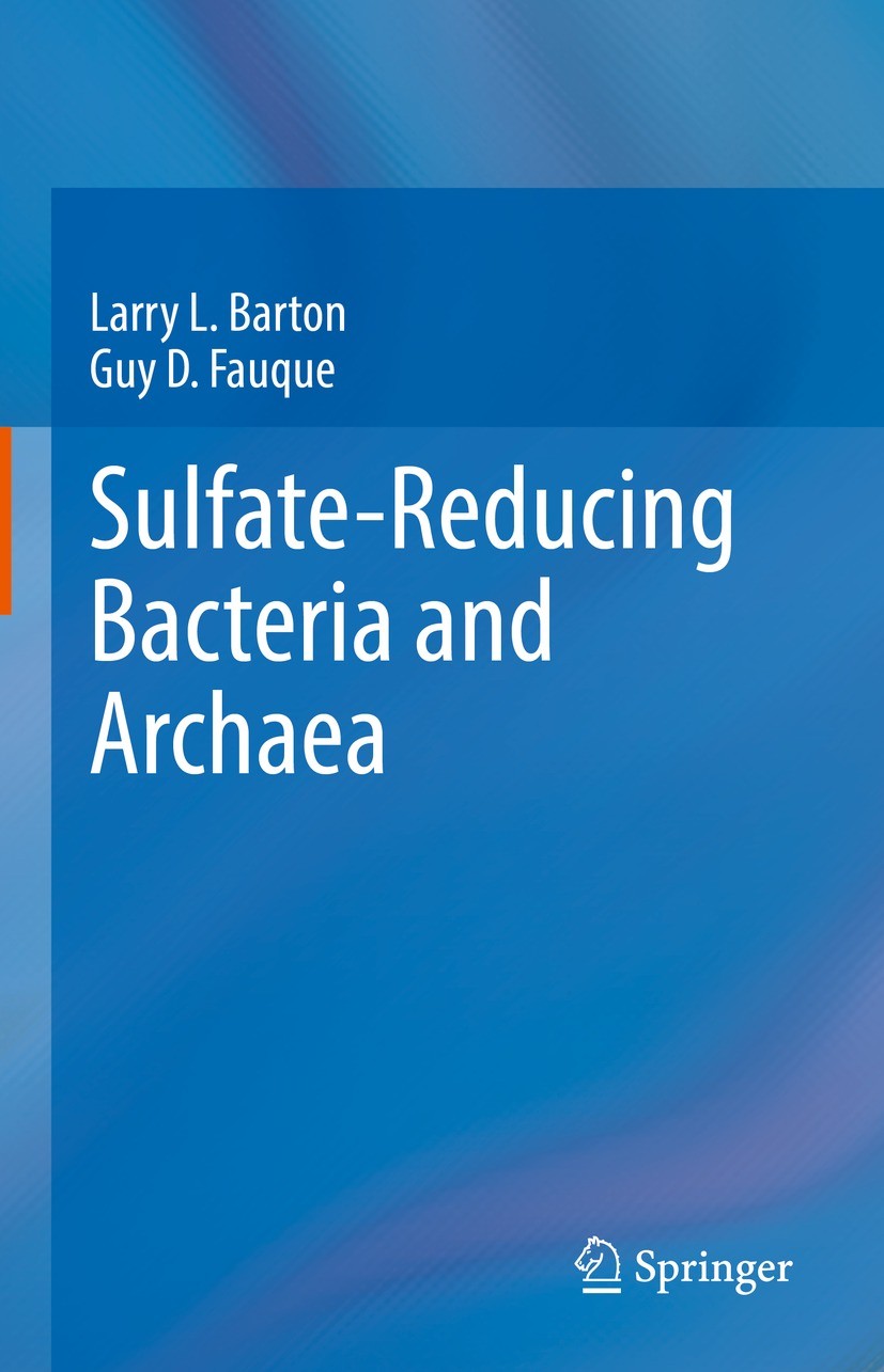 Effect of magnetite addition on transcriptional profiles of syntrophic  Bacteria and Archaea during anaerobic digestion of propionate in wastewater  sludge - Dyksma - 2022 - Environmental Microbiology Reports - Wiley Online  Library