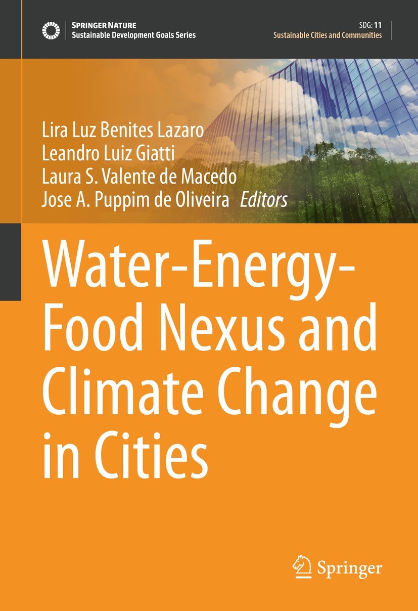 Methods for Evaluating Food-Energy-Water Nexus: Data Envelopment Analysis  and Network Equilibrium Model Approaches