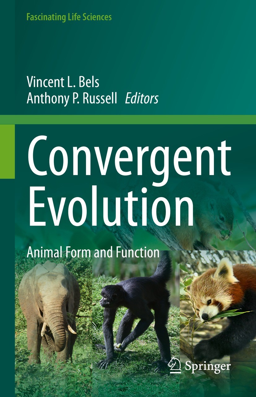 Convergent Evolution: Animal Form and Function | SpringerLink