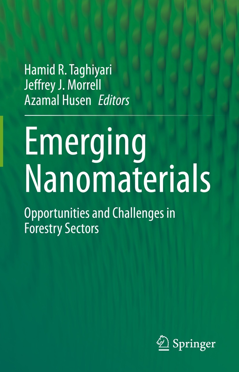 Nanomaterials to Improve the Strength of Wooden Joints | SpringerLink
