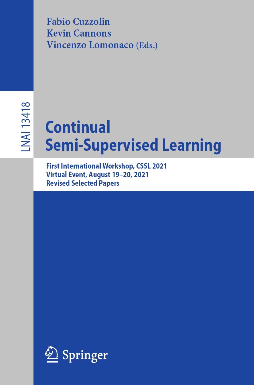 Semi supervised sale learning book