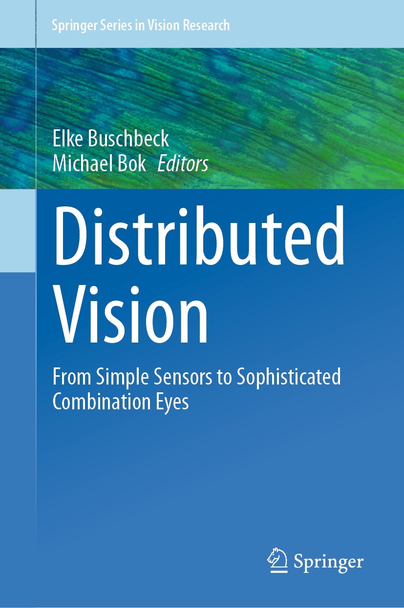 Distributed Vision: From Simple Sensors to Sophisticated