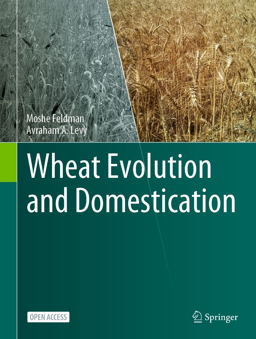 Evolution of Wheat Under Cultivation
