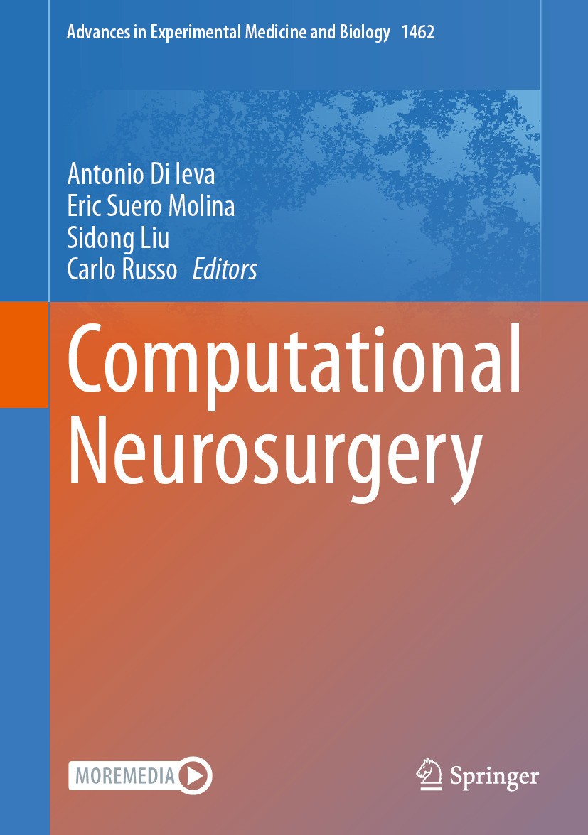 Computational Neurosurgery | SpringerLink