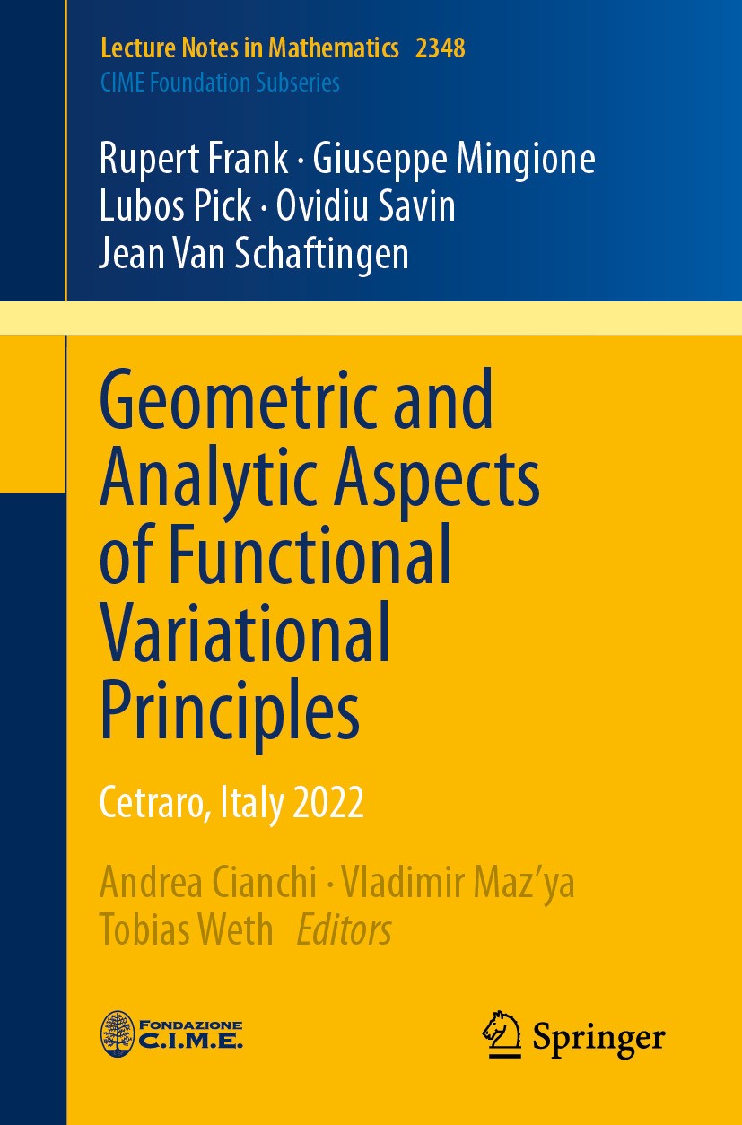 Geometric and Analytic Aspects of Functional Variational