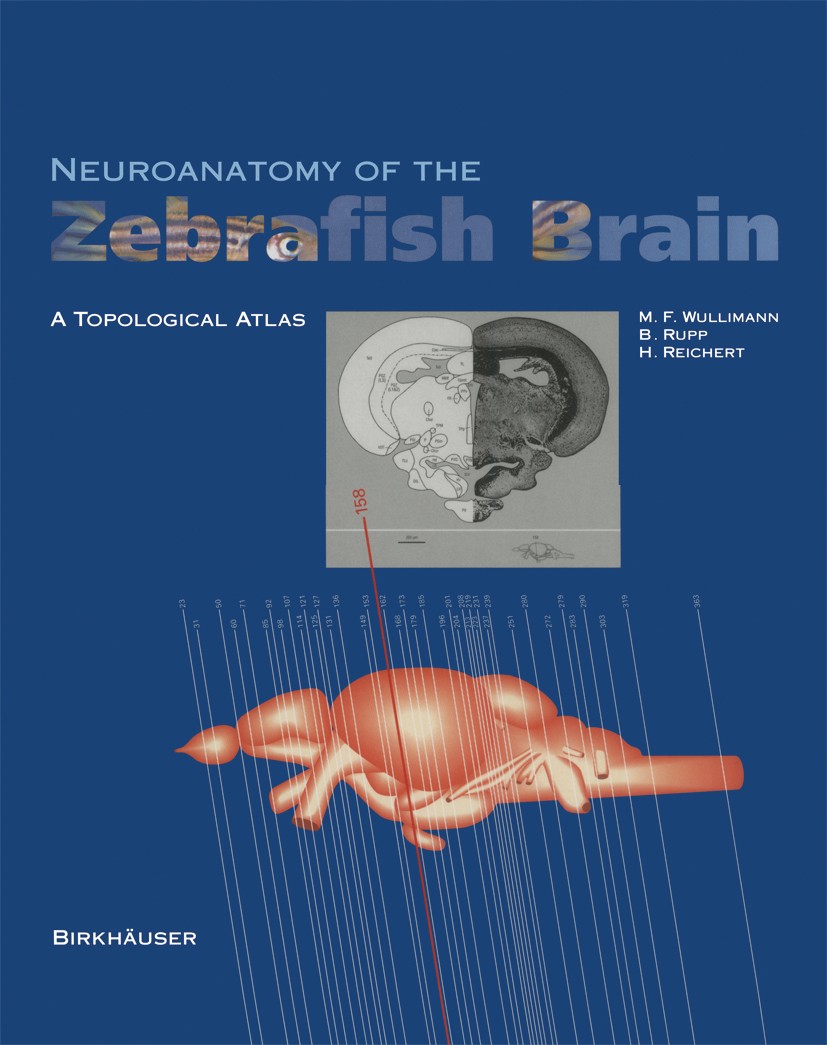 洋書 Zebrafish practical approach Zebrafish: A Practical Guide to Husbandry, Welfare and