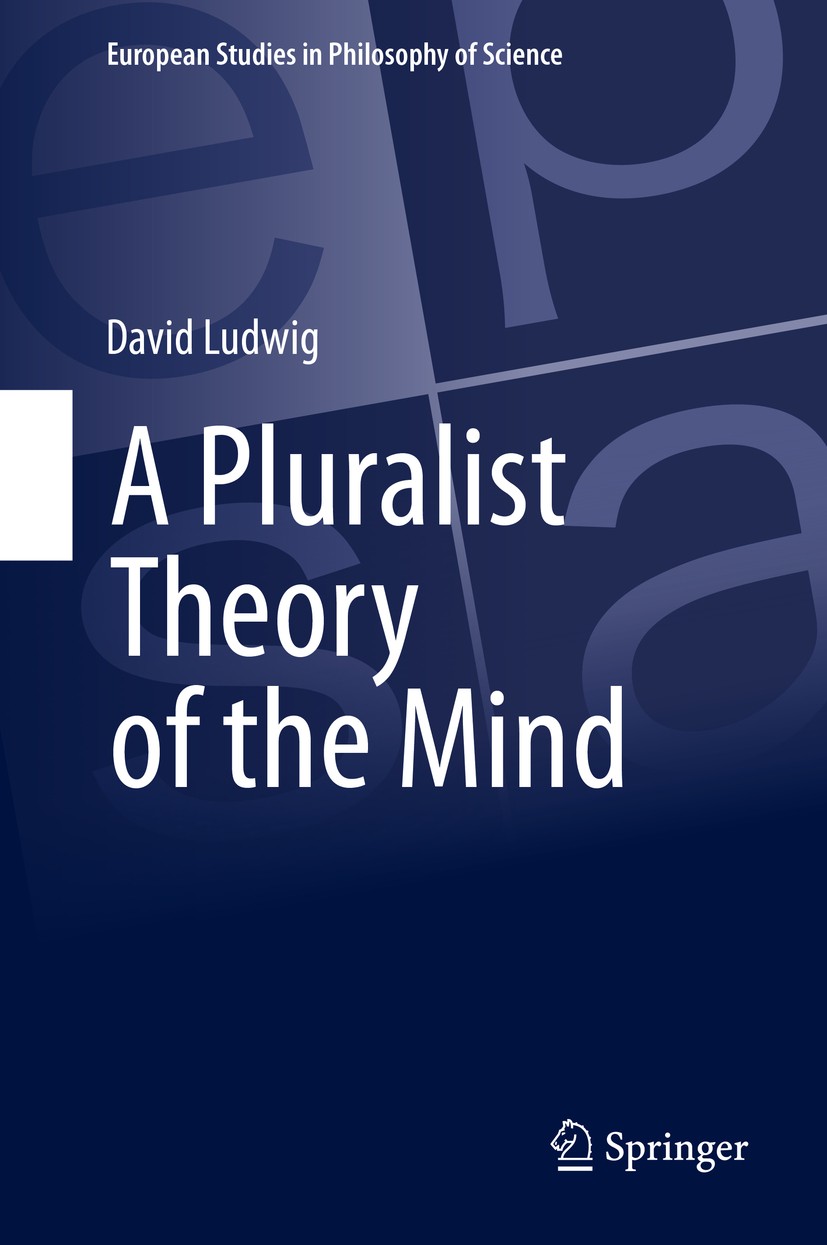 the pluralist perspective