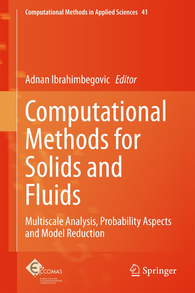 Computational Methods for Solids and Fluids: Multiscale Analysis 