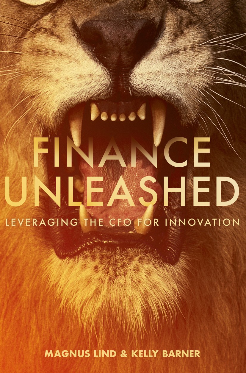 Finance Unleashed: Leveraging the CFO for Innovation | SpringerLink
