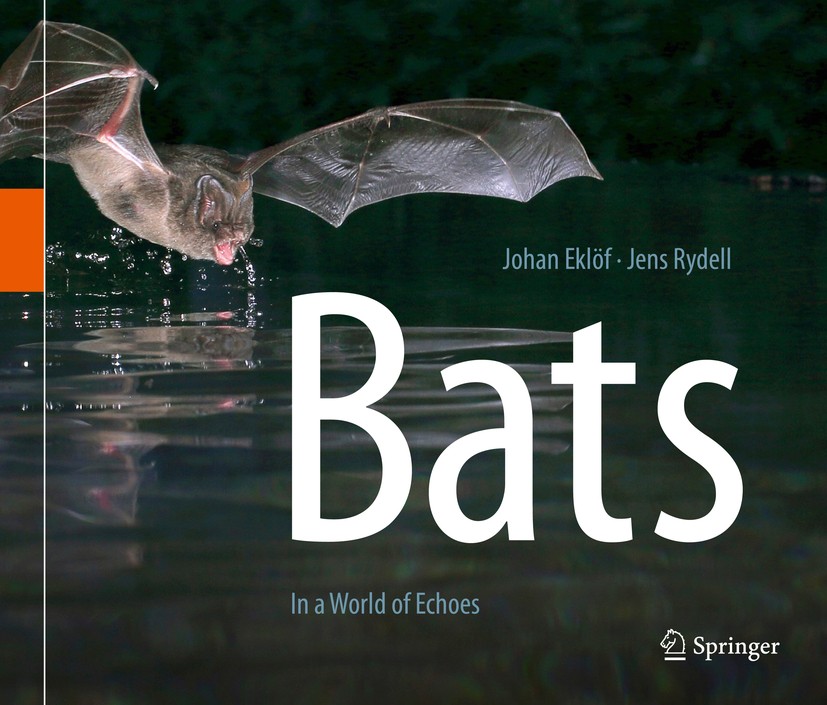 In　Bats:　SpringerLink　a　World　of　Echoes