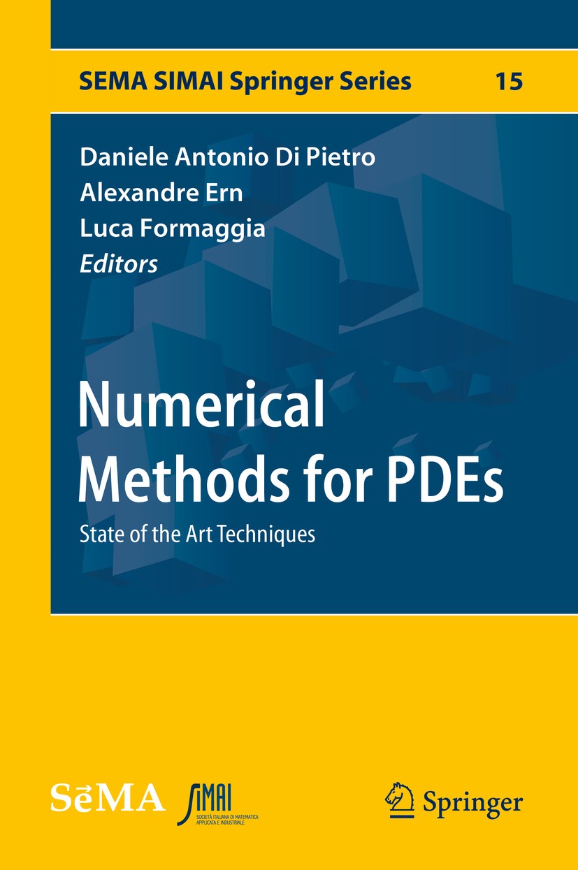 Numerical Methods for PDEs: State of the Art Techniques | SpringerLink