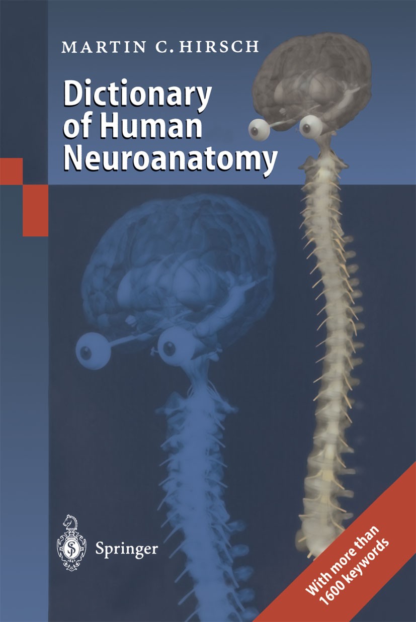 Dictionary of Human Neuroanatomy | SpringerLink