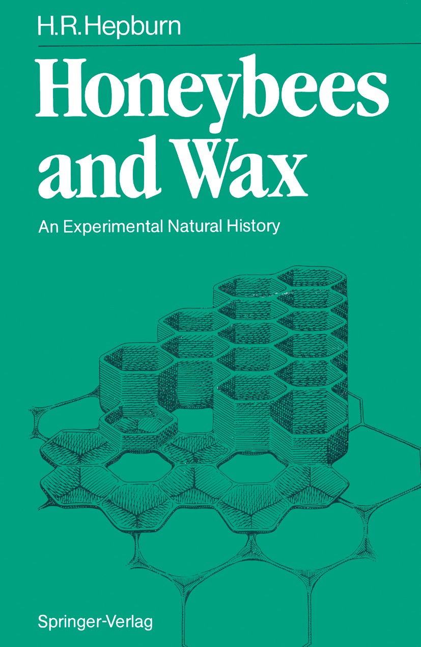 Natural History of Social Wasps and Bees in Equatorial
