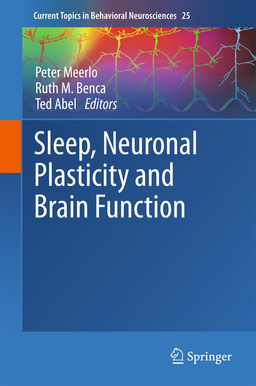 Frontiers  Cellular and Molecular Mechanisms of REM Sleep Homeostatic  Drive: A Plausible Component for Behavioral Plasticity