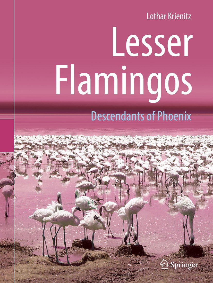 East Africa: Hub of the Unresting Lesser Flamingo | SpringerLink