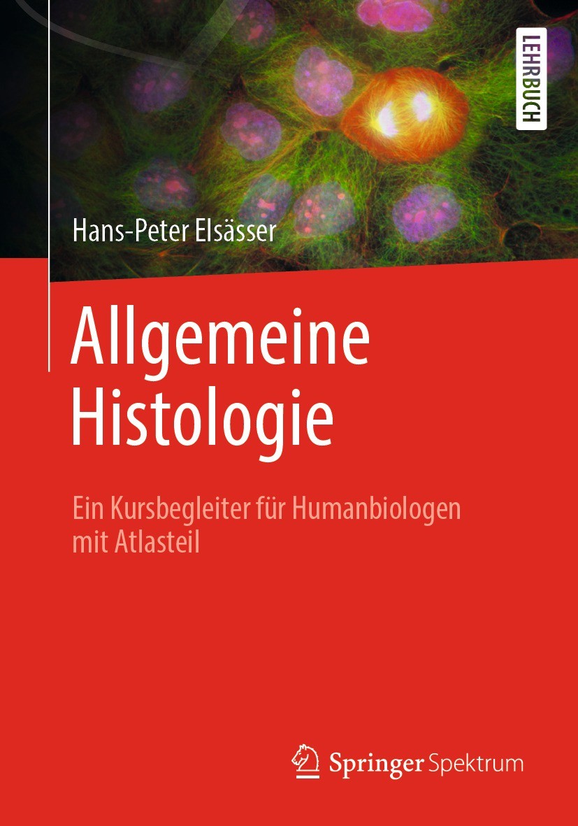 Wörterbuch Der Humanbiologie - Dictionary of Human Biology - Deutsch -  Englisch - Englisch - Deutsch. English - German - German - English  (PDFDrive) | PDF | Abdomen | Anatomy, image size:827x1181