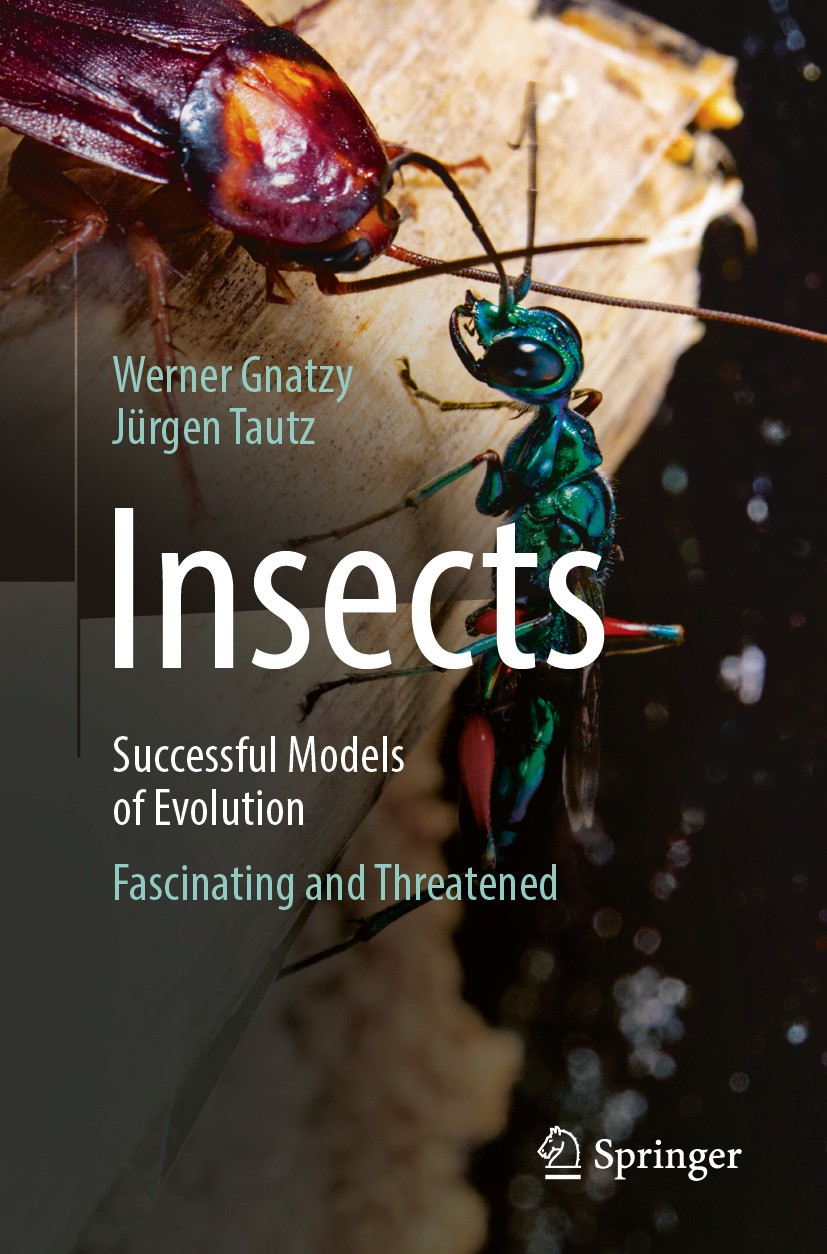 Insects - Successful Models of Evolution: Fascinating and