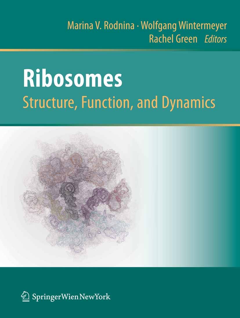 Ribosomes Structure, Function, and Dynamics | SpringerLink