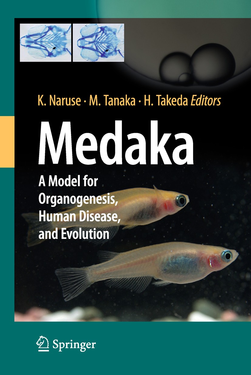 Medaka: A Model for Organogenesis, Human Disease, and Evolution 