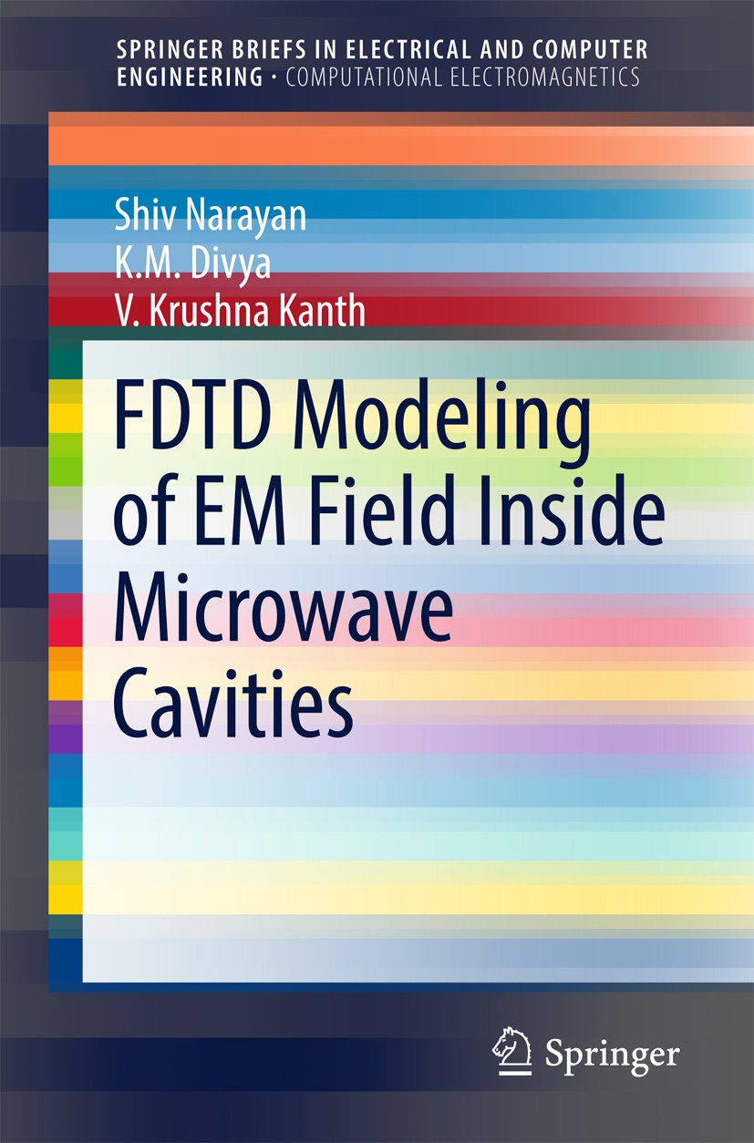 FDTD Modeling of EM Field inside Microwave Cavities | SpringerLink