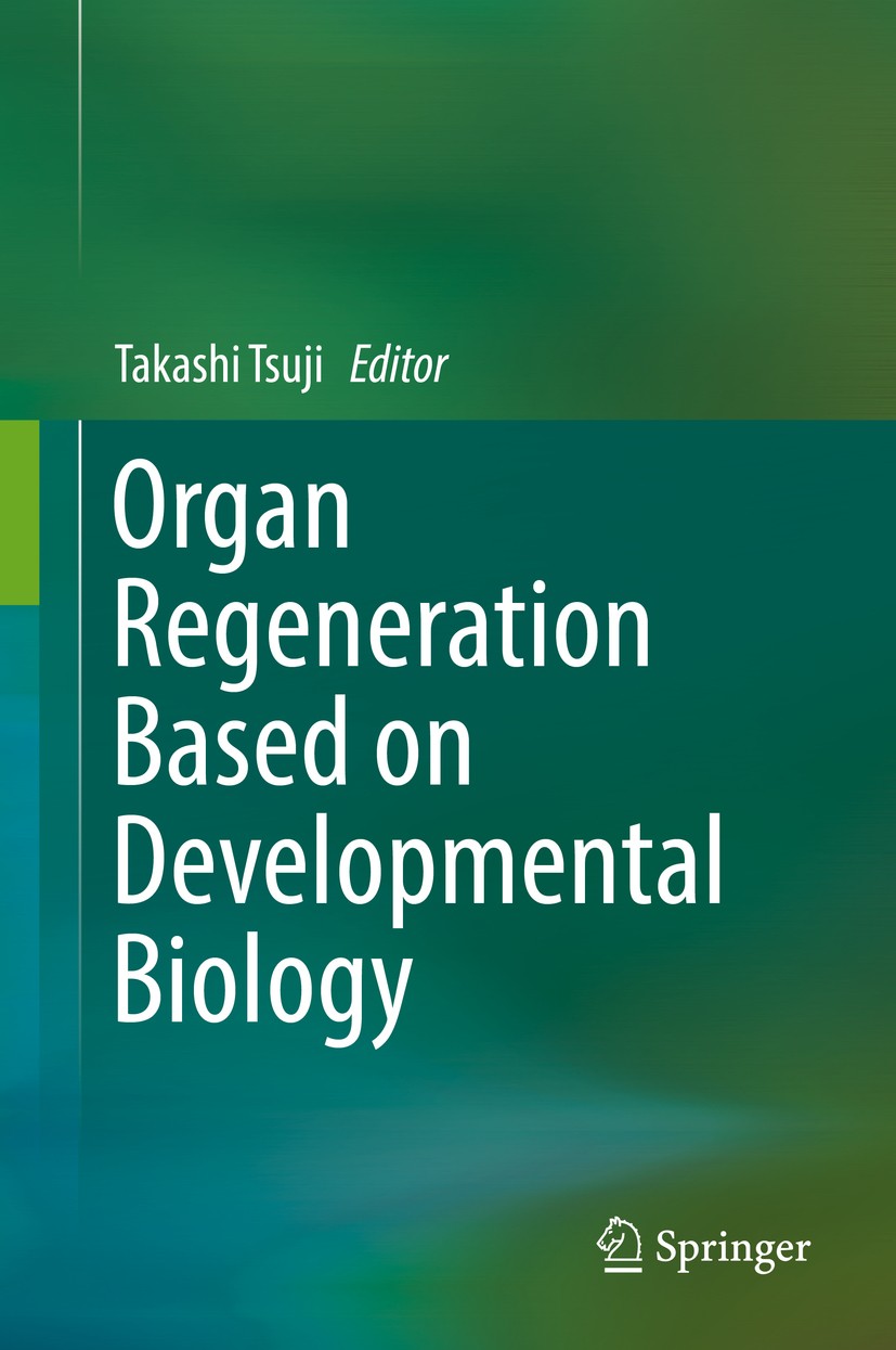 Recapitulating Development to Generate Kidney Organoid Cultures |  SpringerLink