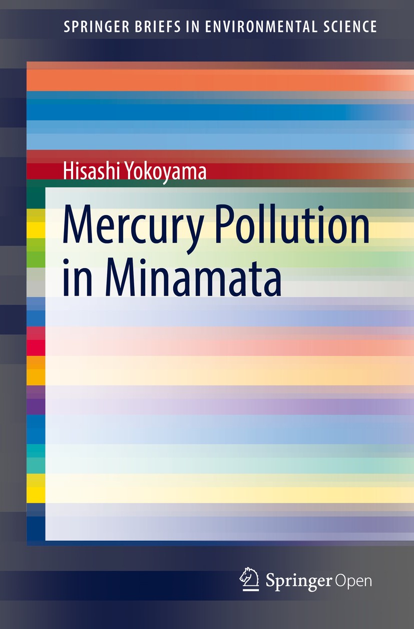 Mercury Pollution in Minamata | SpringerLink