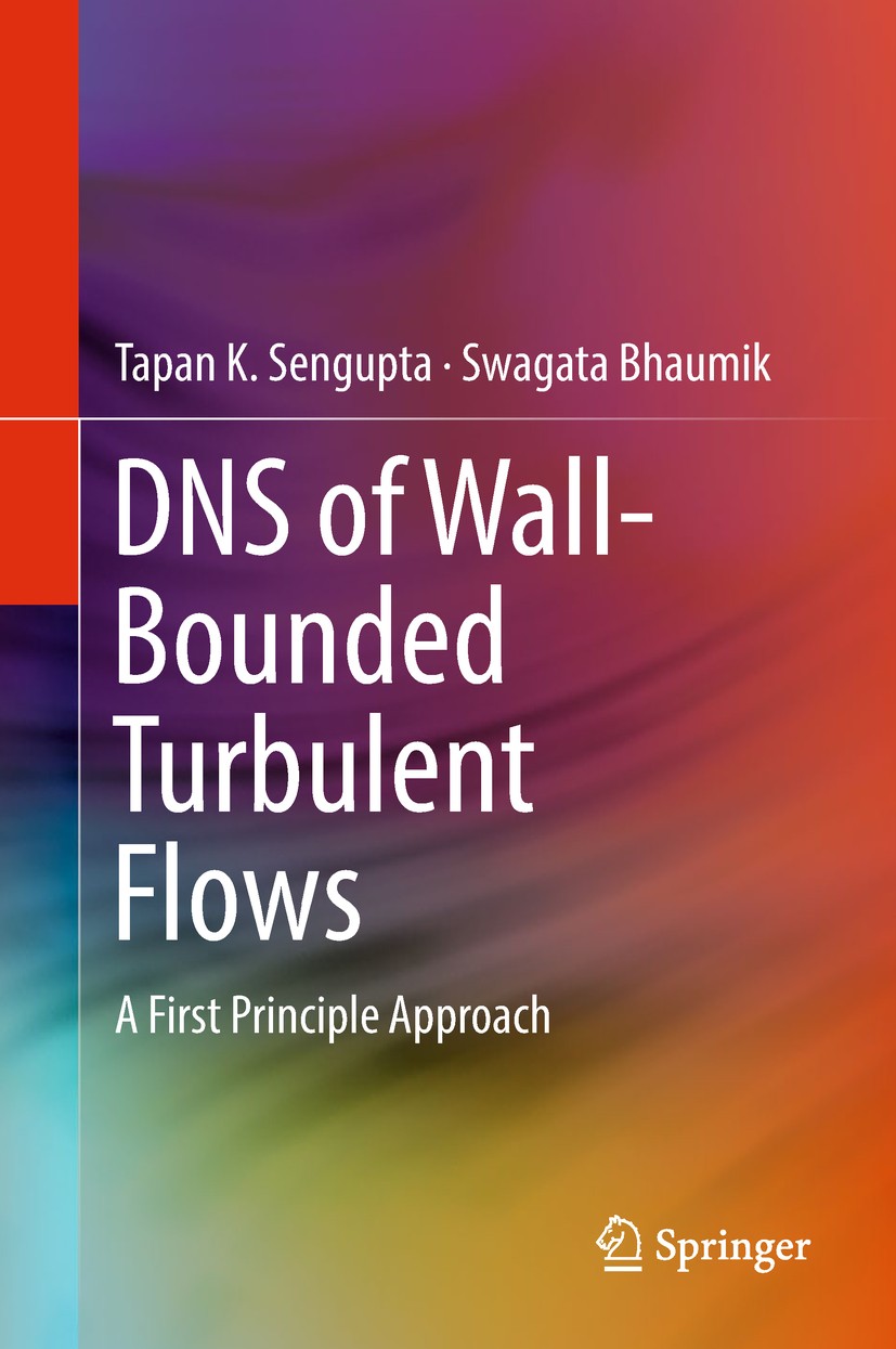 DNS of Wall-Bounded Turbulent Flows: A First Principle