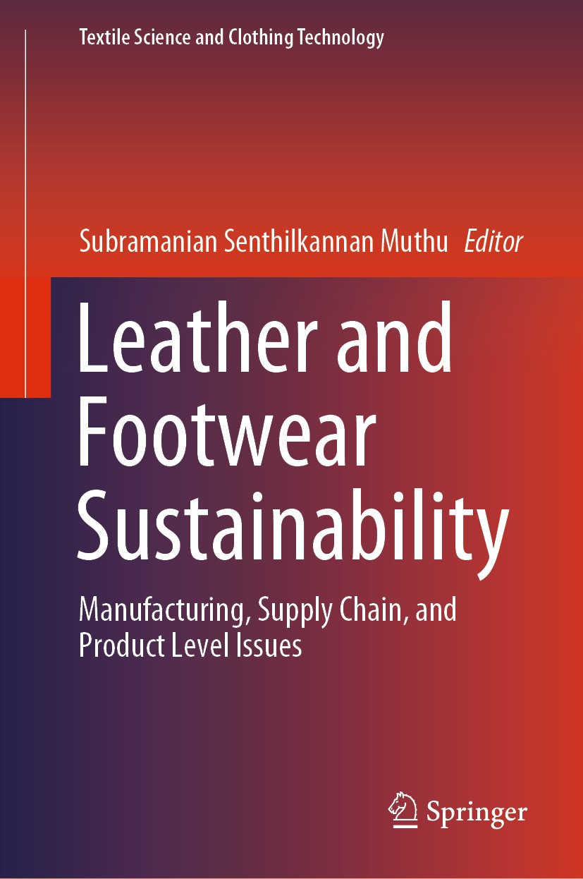 Brazilian Sustainability Outlook in Footwear Sector | SpringerLink