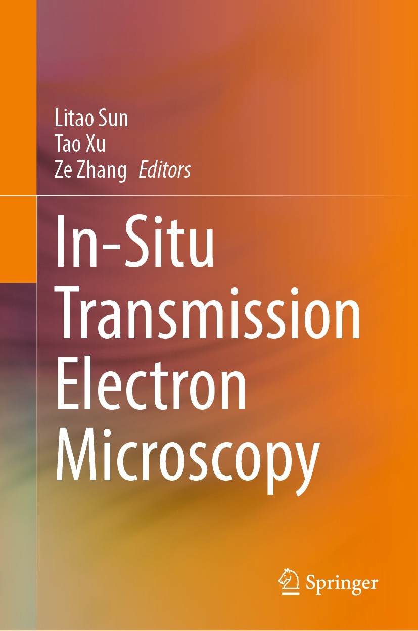 In-Situ Transmission Electron Microscopy | SpringerLink