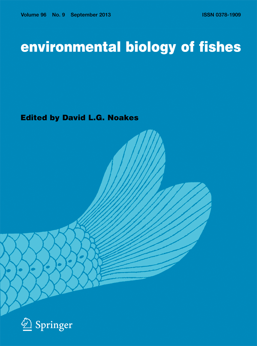 Increased straying by adult steelhead trout, Salmo gairdneri