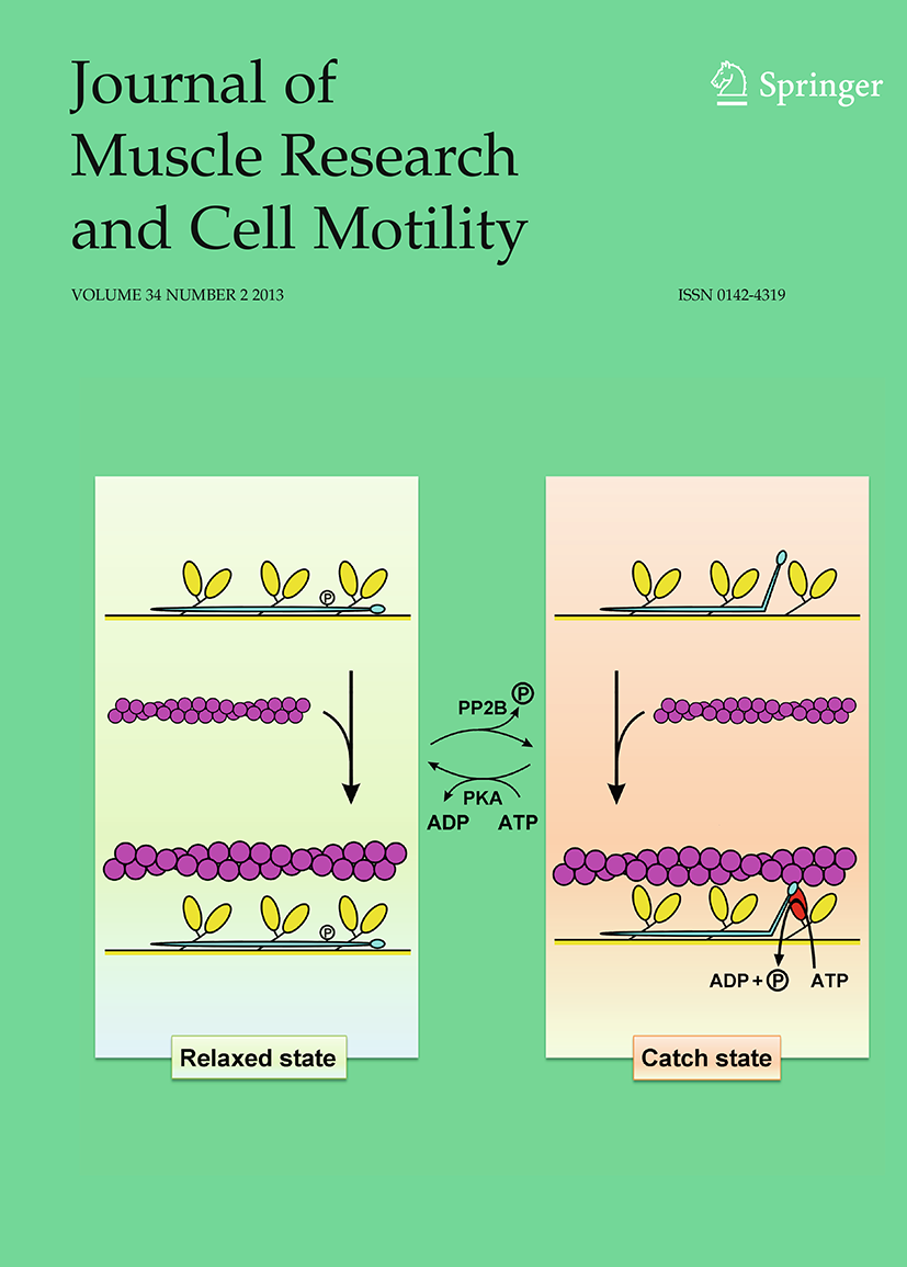 Eri Gi's research works  Sapporo Medical University, Sapporo