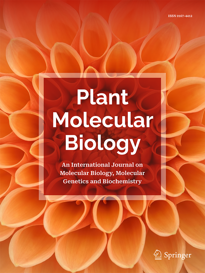 Crystal structures of recombinant and native soybean β‐conglycinin