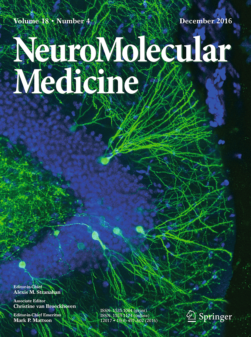 green Multifunctional Coding-Feeding Metasurface Based on Phase