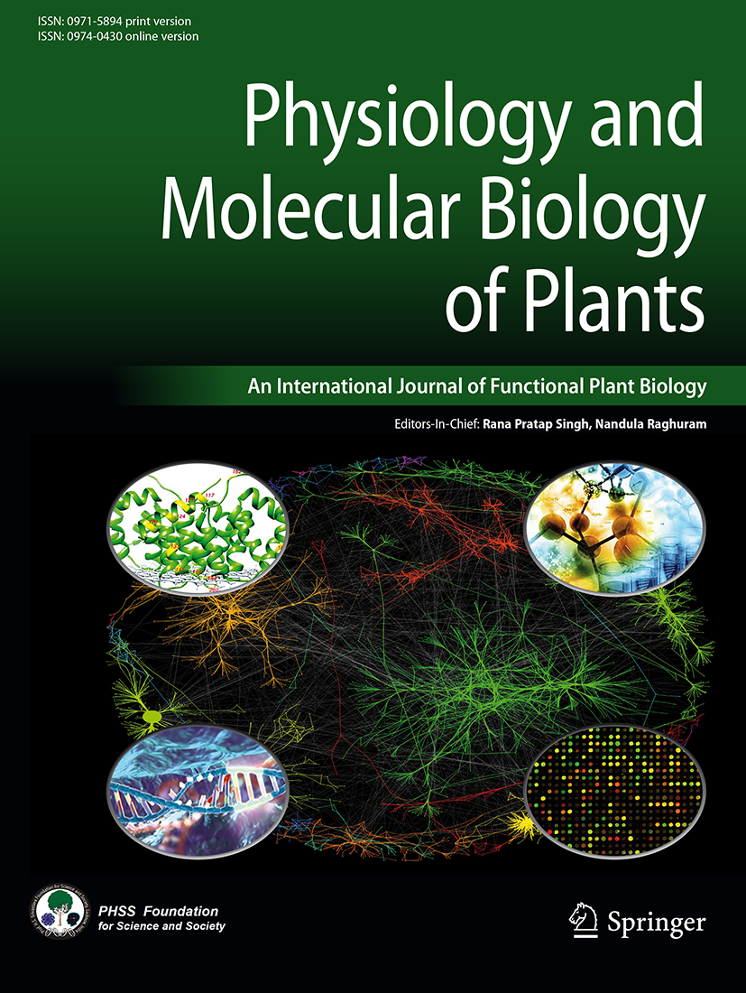 Understanding The Cotton Plant & Its Physiology 