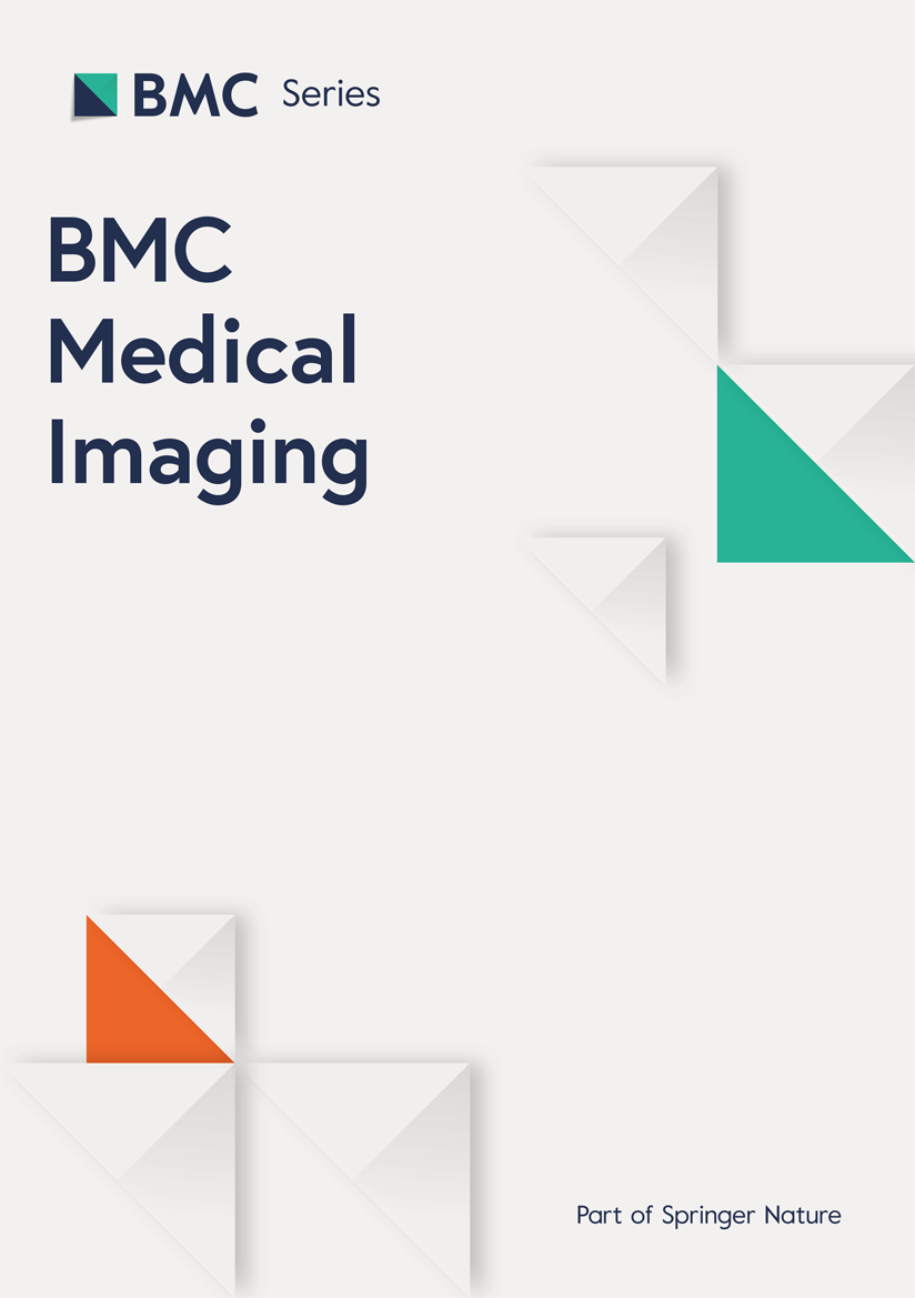 Correction: ES-UNet: efficient 3D medical image segmentation with ...