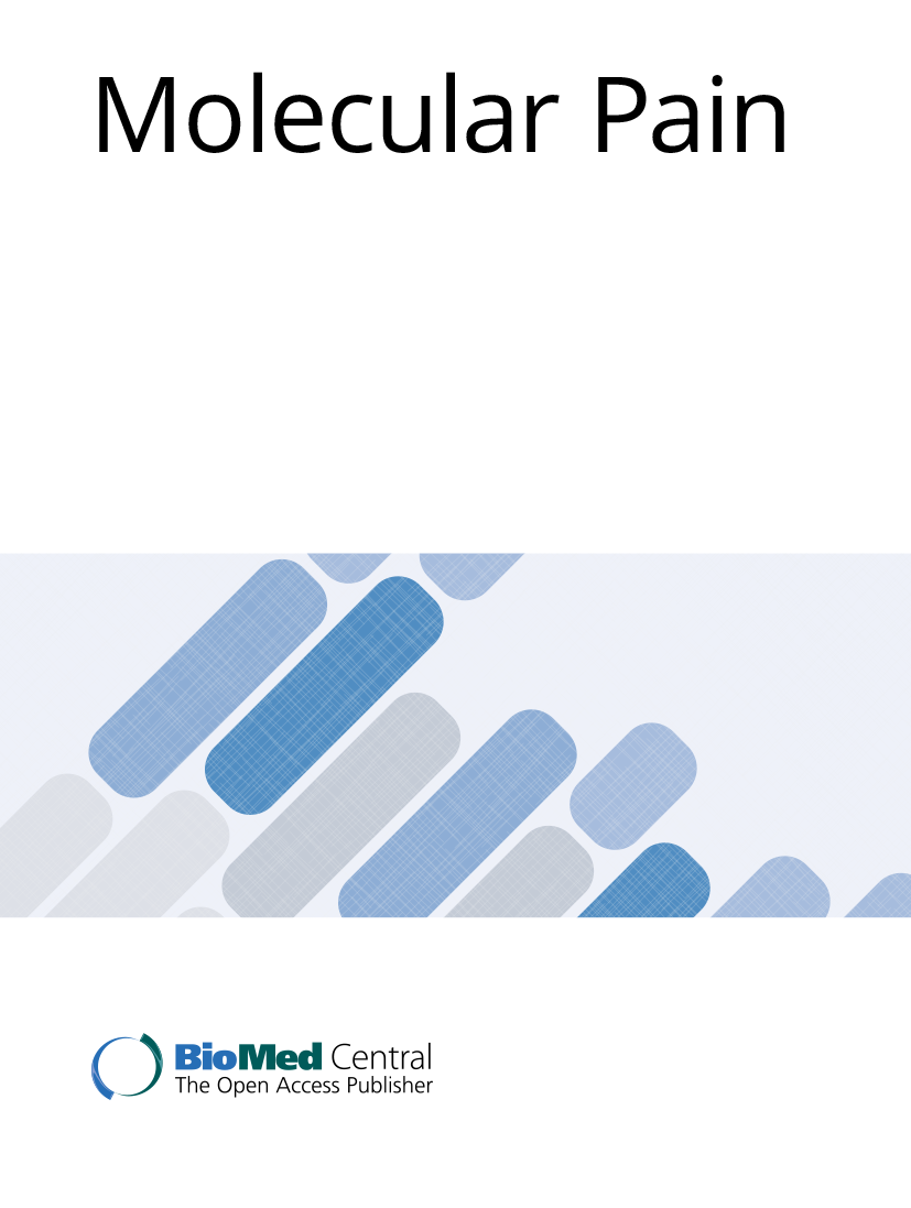 Mechanisms of chronic pain | Molecular Pain | Springer Nature Link